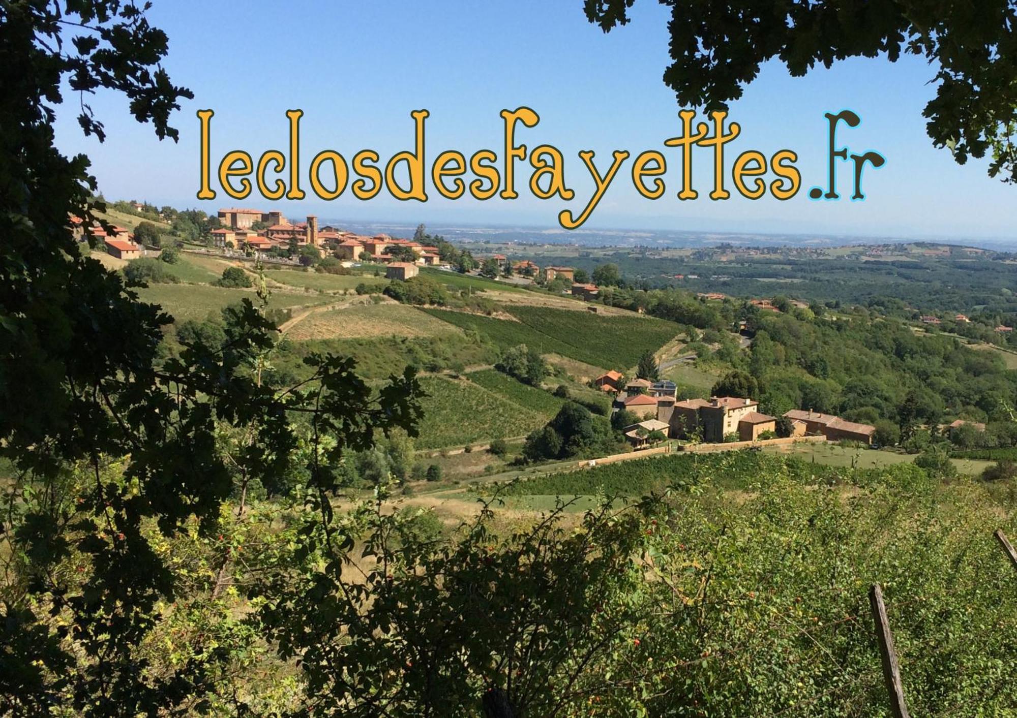 Le Clos Des Fayettes Theize Exterior photo